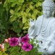 Buddha