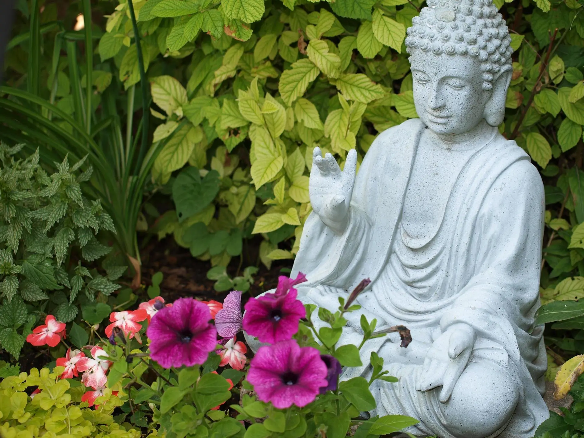 Buddha